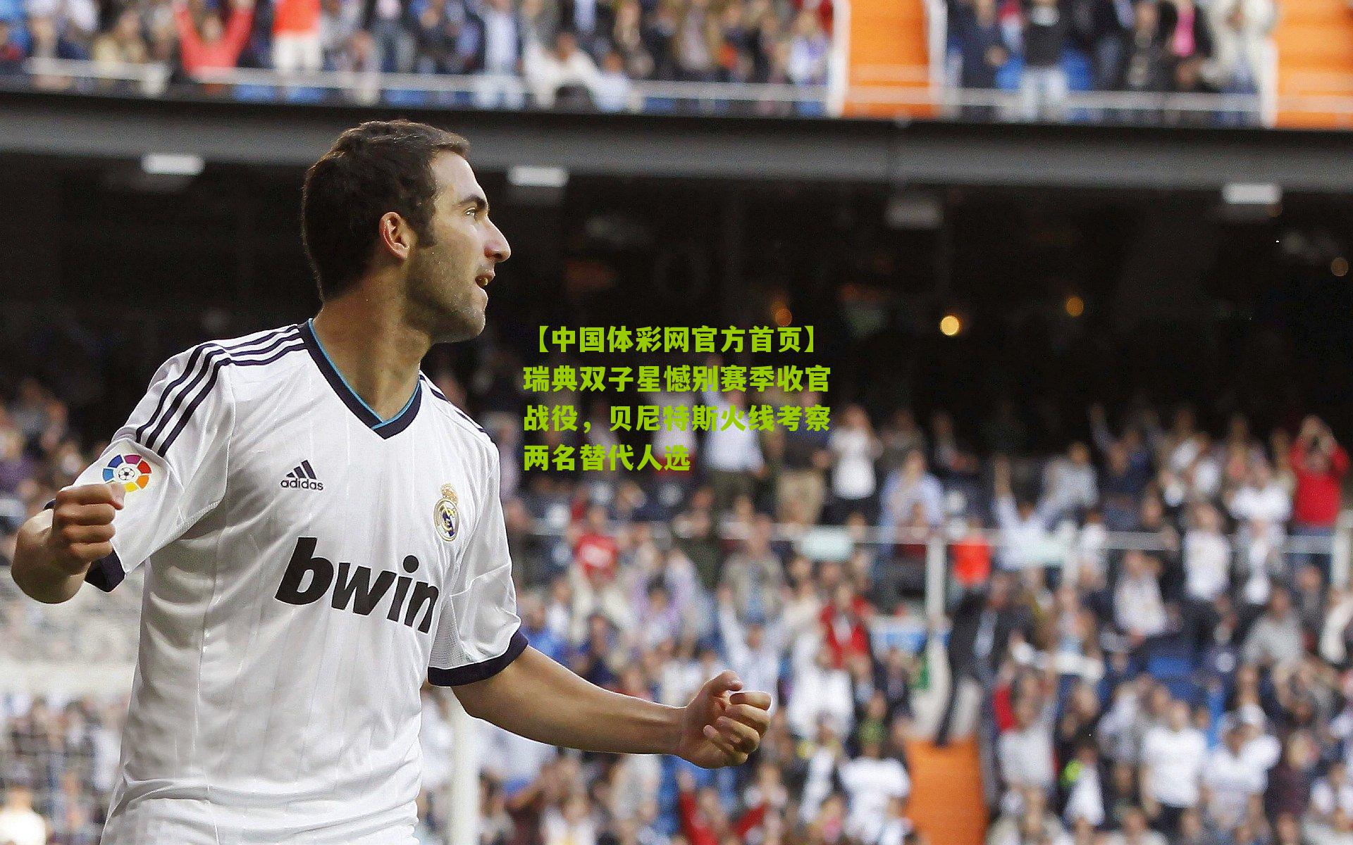 瑞典双子星憾别赛季收官战役，贝尼特斯火线考察两名替代人选